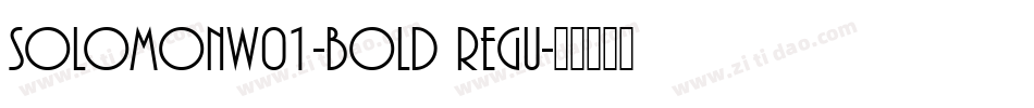 SolomonW01-Bold Regu字体转换